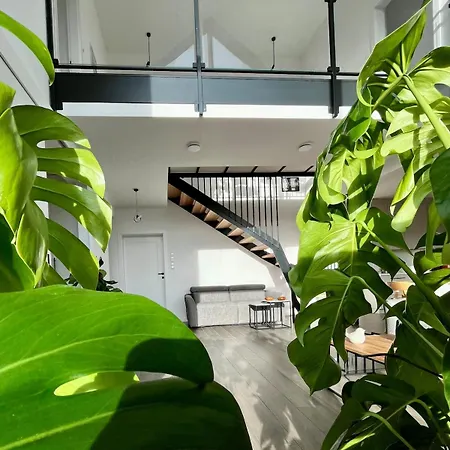 Luksusowa W Gorach Sunny Slope - Szklarska Poreba, Widok Na Karkonosze, 2 Prywatne Sauny W Cenie, 5 Lazienek, Tarasy, Ogrod *