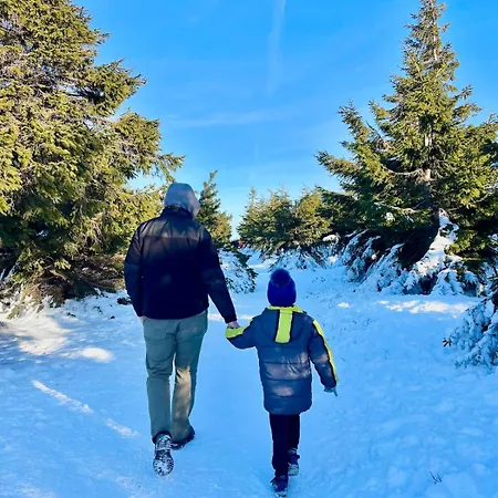 Vila Luksusowa W Gorach Sunny Slope - Szklarska Poreba, Widok Na Karkonosze, 2 Prywatne Sauny W Cenie, 5 Lazienek, Tarasy, Ogrod *