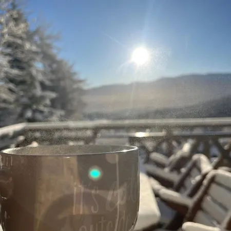 Sunny Slope - 2x Prywatna Sauna, Tarasy I Widok Na Gory - W Gorach Na Wylacznosc Vila