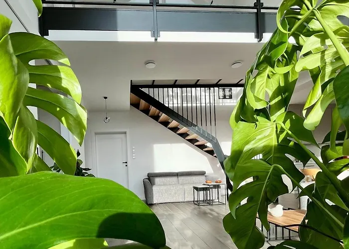 Luksusowa W Górach Sunny Slope - Szklarska Poręba, Widok Na Karkonosze, 2 Sauny, 5 łazienek, Tarasy, Ogród, 5 Do 12 Osób *