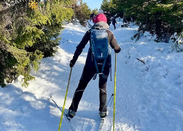 Luksusowa W Gorach Sunny Slope - Szklarska Poreba, Widok Na Karkonosze, 2 Prywatne Sauny W Cenie, 5 Lazienek, Tarasy, Ogrod * シクラルスカ・ポレンバ
