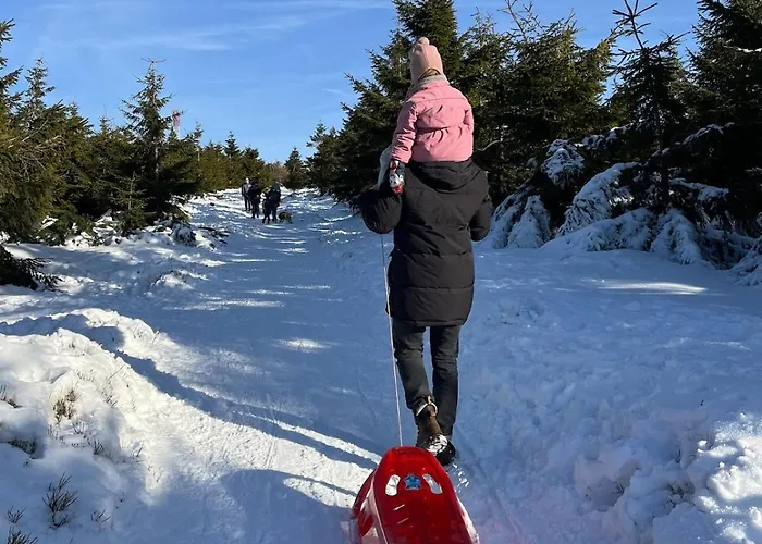 Willa Luksusowa W Górach Sunny Slope - Szklarska Poręba, Widok Na Karkonosze, 2 Sauny, 5 łazienek, Tarasy, Ogród, 5 Do 12 Osób