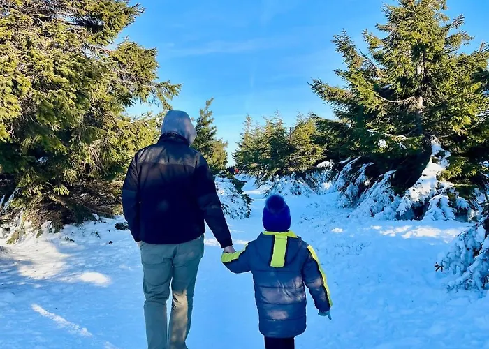 Willa Luksusowa W Górach Sunny Slope - Szklarska Poręba, Widok Na Karkonosze, 2 Sauny, 5 łazienek, Tarasy, Ogród, 5 Do 12 Osób *